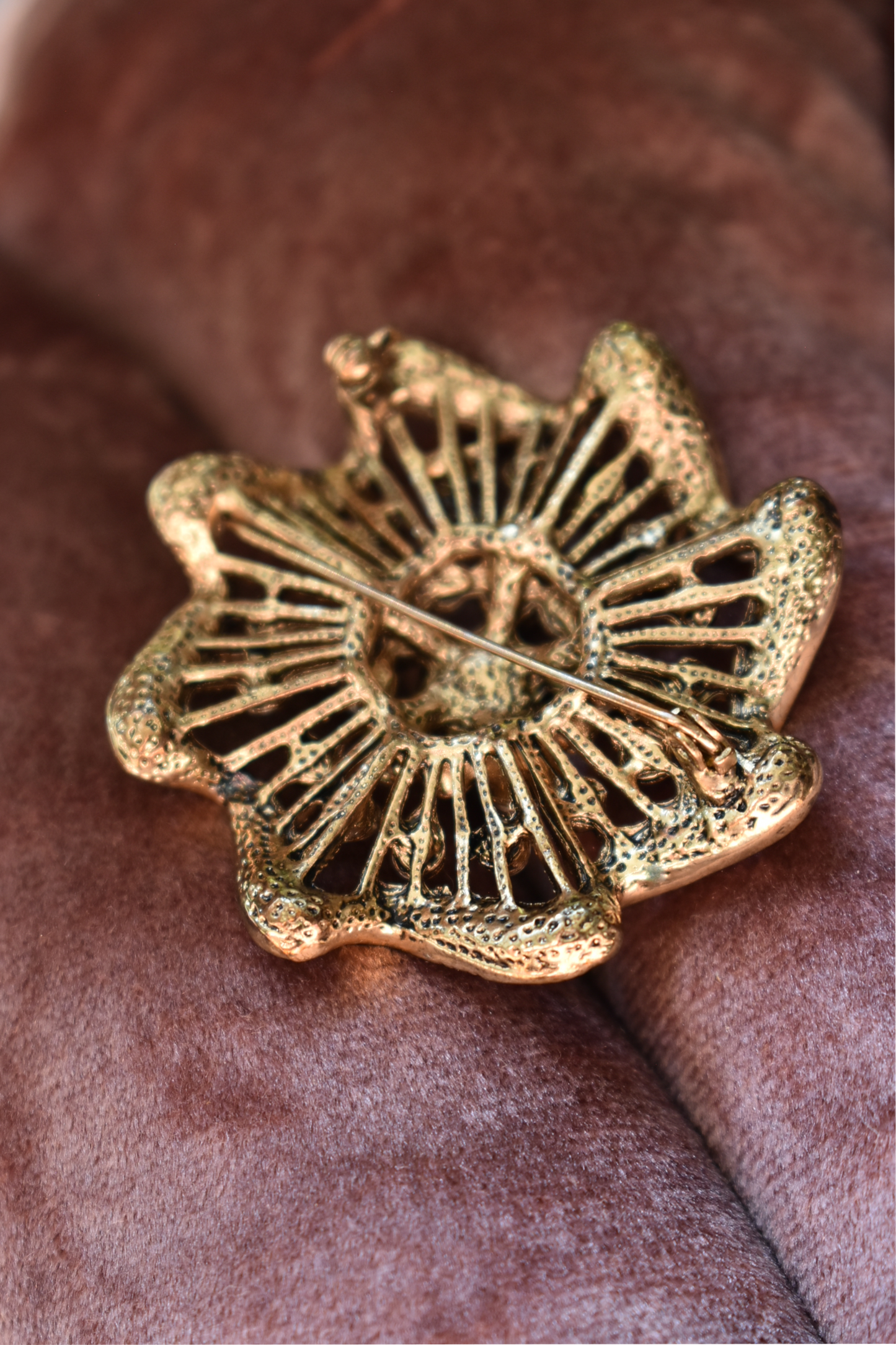 Broche oranje