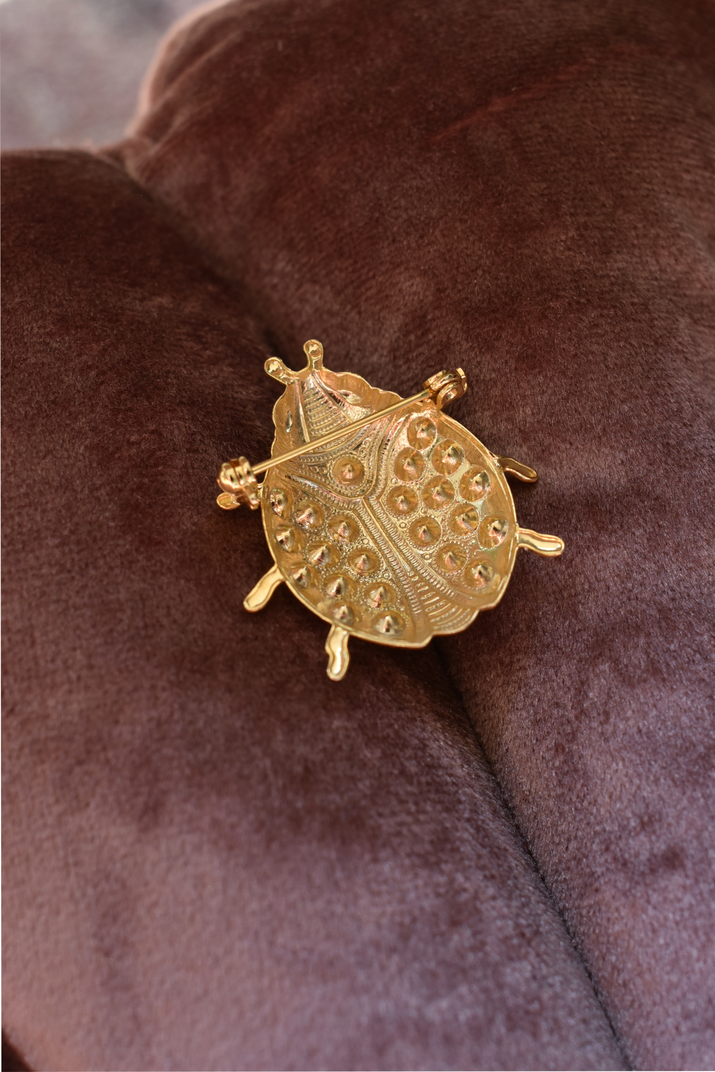 Vintage broche lieveheerstbeestje