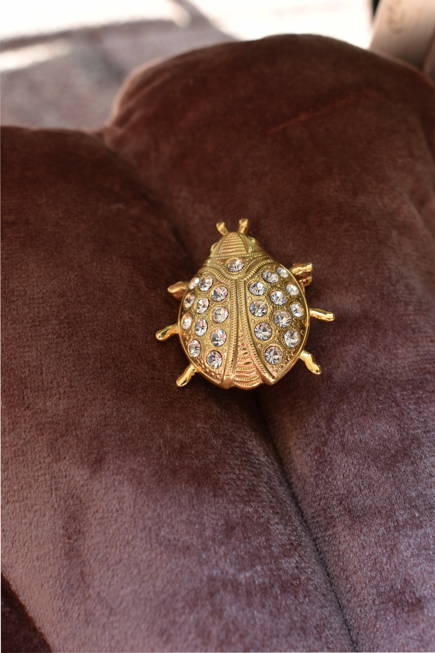 Vintage broche lieveheerstbeestje